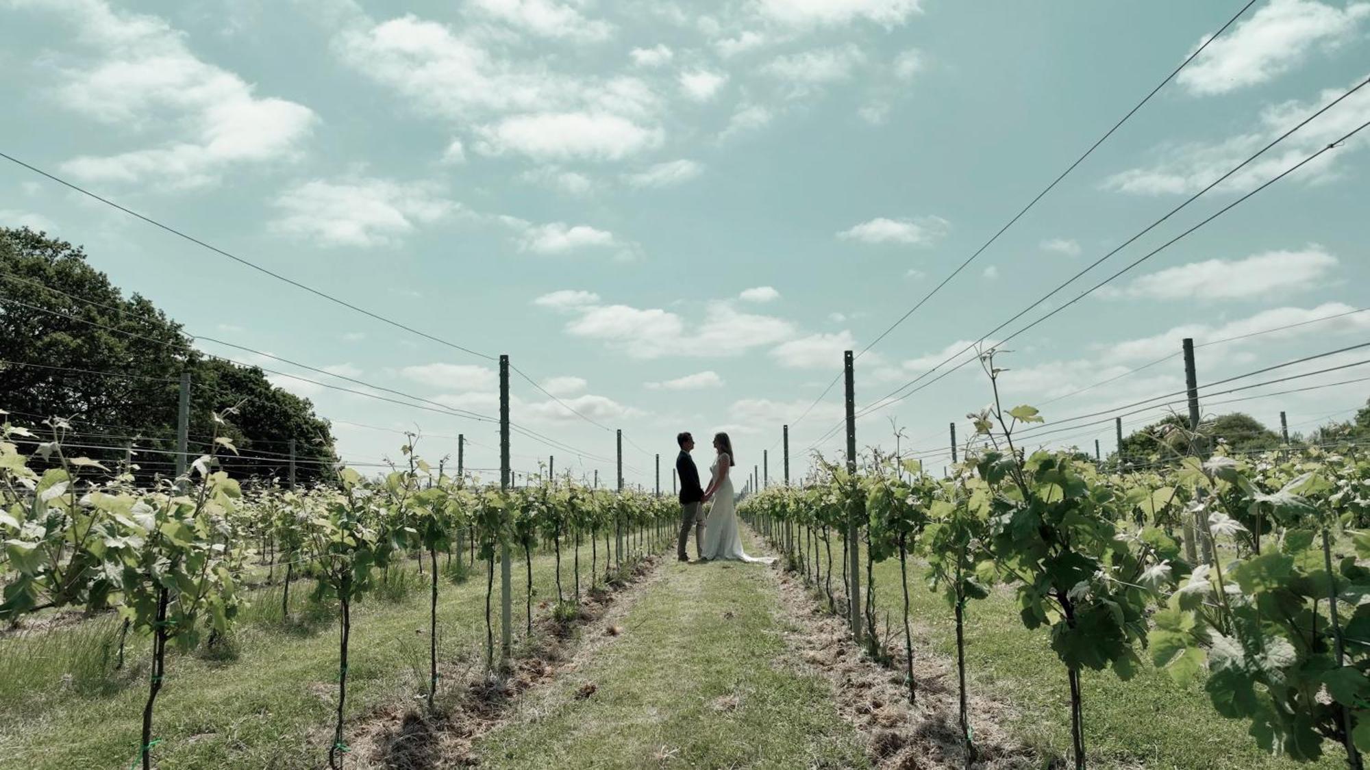Pinkmead Estate And Vineyard Vila Osborne  Exterior foto